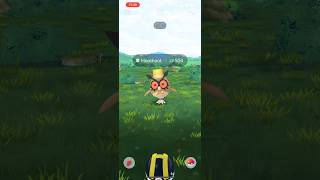 Shiny Hoothoot hunting [upl. by Aronas]