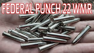 22 MAGNUM FOR SELF DEFENSE  FEDERAL PUNCH 22 WMR [upl. by Kareem]