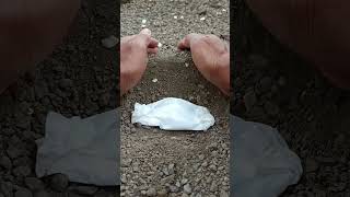 A funeral procession frog🐸🥀frog wildlife shorts viralvideo [upl. by Notsyrb]