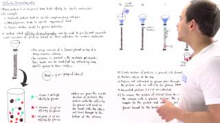 Affinity Chromatography [upl. by Nakada822]