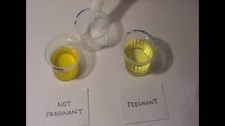 How to Test Pregnancy at Home Naturally [upl. by Marder]