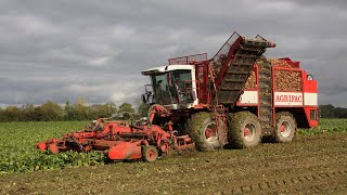 2003 Agrifac WKM Hexa 12 beet harvester  Mammoth 12row  Beet Harvesters in Britain DVD [upl. by Adiela]