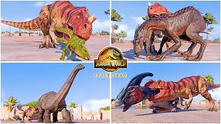 Ceratosaurus VS All Carnivore amp Herbivore Dinosaurs Killing Animations 🦖 Jurassic World Evolution 2 [upl. by Ronica]