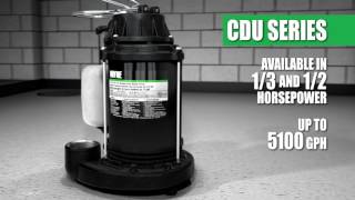 WAYNE Premium Line of CDU Sump Pumps [upl. by Ttelracs2]