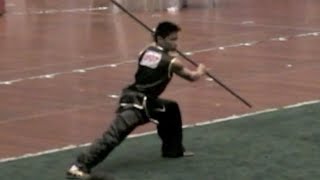 【武术】第六届亚洲武术锦标赛2004 男子南棍 0507 郑家豪 中国香港 [upl. by Atiniv785]