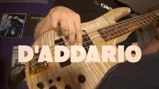 Jason Raso  DAddario NYXL Bass Strings  Fingerstyle Demo [upl. by Albur]