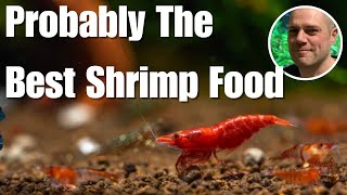 Biofilm  THE Greatest Shrimp Food That No One Is Talking About 👀 [upl. by Leonerd]