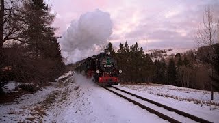 Dampfzüge auf der Fichtelbergbahn  zwischen Niederschlag und Oberwiesenthal [upl. by Ilyk792]