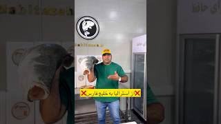 🐠BARRAMUNDI AUSTRALIAN FISH🐠 fishing seafood ماهی fish food ترند [upl. by Ij]