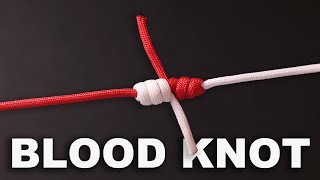 The Easiest Way to Tie a Blood Knot [upl. by Pat415]