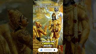 Bhagavad Gita Chapter 11 1139 [upl. by Dnalerb]