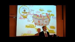 ANATOMY REVIEW OF CYTOLOGY PART 2 by Professor Fink [upl. by Sax]