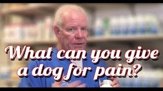 What Can I Give My Dog For Pain  Ask the Expert  Dr David Randall [upl. by Ahtennek]