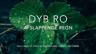 DYB RO Meditation  Afslappende regn [upl. by Aidualk115]