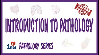 Introduction to Pathology [upl. by Aicnilav]