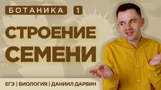 Строение семени  ЕГЭ Биология  Даниил Дарвин [upl. by Fairleigh]