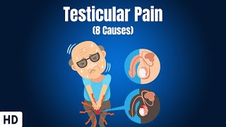 8 Causes Of Testicular Pain [upl. by Anaitit]