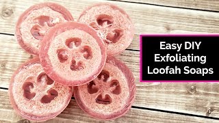 DIY Exfoliating Loofah Soaps [upl. by Warp923]