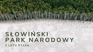 Słowiński Park Narodowy z lotu ptaka  4K [upl. by Ileak]