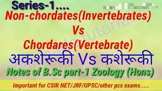 NonchordatesInvertebrates Vs ChordaresVertebrate अकशेरूकी Vs कशेरूकी Notes of BSc part1 Zool [upl. by Soinotna18]