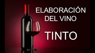 ELABORACIÓN DEL VINO TINTO ✔ [upl. by Adnyleb397]