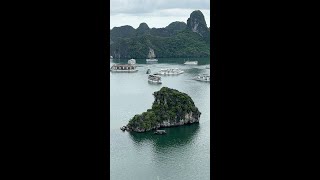 Best view on Ha Long Bay  Live from Ti Top island [upl. by Iuqcaj]