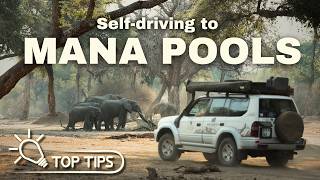 Selfdriving to MANA POOLS  Everything you need to know [upl. by Anicart392]