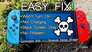 FIX ANY Nintendo Switch That Wont Charge Or Turn On  EASY FIX [upl. by Ahsaenat]