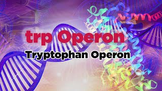 trp Operon  Tryptophan Operon [upl. by Luehrmann]