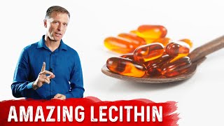 The 11 Benefits of Lecithin [upl. by Spratt]