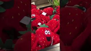 Hahndorf strawberry picking [upl. by Acimehs81]