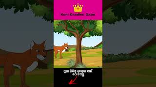 story panchatantrastaleinodia odiacartoon moralstories newodiastory cartoonstory birds [upl. by Ennael]