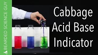 Red Cabbage Juice Acid Base Indicator Experiment Chemistry [upl. by Chic]