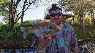 Fishing for JUMBO Bluegills  Bluegill Fishing with Bobber and Worms [upl. by Ihculo]