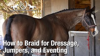 How to Braid a Horses Mane for Dressage Jumpers or Eventing [upl. by Shaikh]