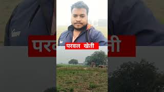 Agricultutar farming parwal kheti [upl. by Anaibaf]