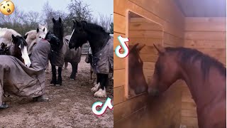 The Best HORSE 🐴 TikTok Compilation 12😁 [upl. by Kati]