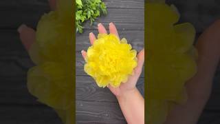 How to make Easy Tissue Paper Flowers DIY Paper Craft Tutorial [upl. by Bowman]