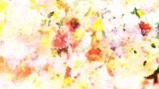 【MV】Akira Kosemura  Grassland [upl. by Inez]