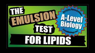 Steps for the Emulsion test for lipids  Lipids  A Level Biology [upl. by Pelpel427]