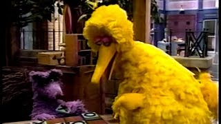 Sesame Street  Big Bird Plays with the Big Bad Wolf [upl. by Wenona188]