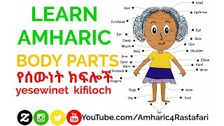 Anatomy of Integumentary System Interesting Video Lecture with Amharic Speech Part 2 [upl. by Oliana198]