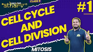 Cell Cycle  Overview [upl. by Licko]