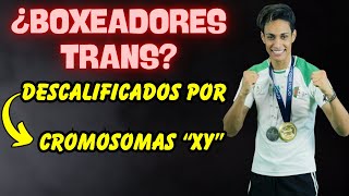 🟣 ¡POLÉMICA TRANS COMPETIRAN en BOXEO FEMENINO 2 BOXEADORES DESCALIFICADOS por CROMOSOMAS XY 🟣 [upl. by Nylekoorb]