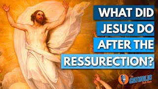 What Did Jesus Do For The 40 Days After The Resurrection  The Catholic Talk Show [upl. by Burford670]