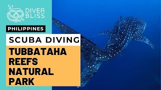 Tubbataha Reefs Natural Park Scuba Diving Liveaboard with MV Resolute [upl. by Towers]