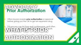 What is Prior Authorization [upl. by Ojytteb]