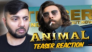 Pakistani Reacts to ANIMAL TEASER  RANBIR KAPOOR [upl. by Adalbert]