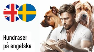 Hundraser på engelska Manlig röst [upl. by Lobiv547]