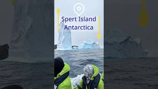 🌊 Epic Zodiac Ride Around Spert Island Antarctica 🧊❄️  Icebergs Caves amp Adventure [upl. by Leunamne]